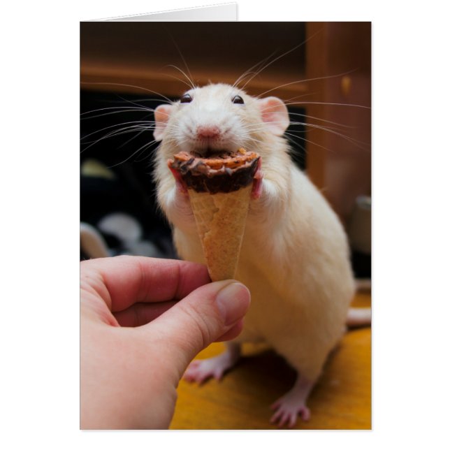 マーティ食べ物ーのアイスクリーム (正面)