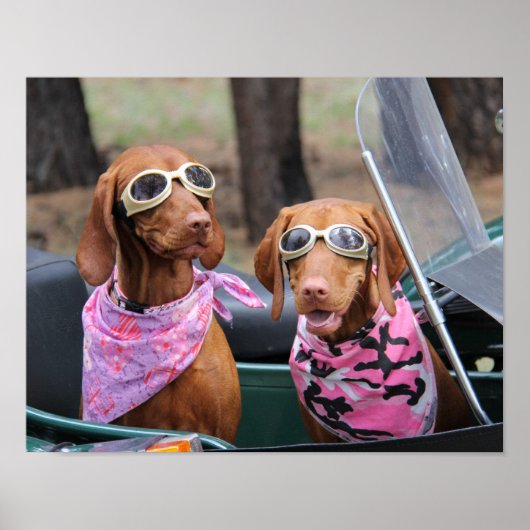 マーティ&ゾー ポスター (正面)