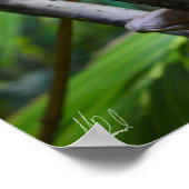 マーテンの水モニターのポスターに署名 ポスター (角)