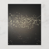 マーディ・グラス パーティー 招待状 チラシ (裏面)