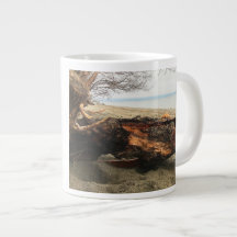 マーフィーがマグカップを覗く