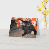 マーフィー カード (黄色い花)