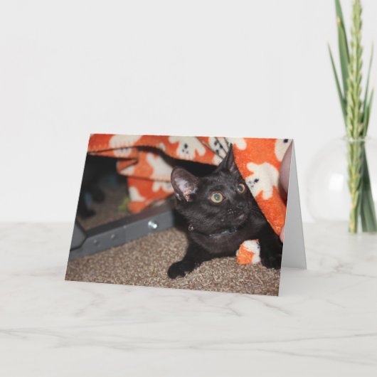 マーフィー カード (正面)