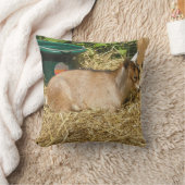 マーフィー クッション (ブランケット)