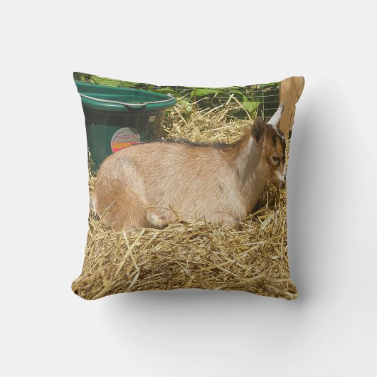 マーフィー クッション (正面)