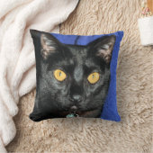 マーフィー クッション (ブランケット)