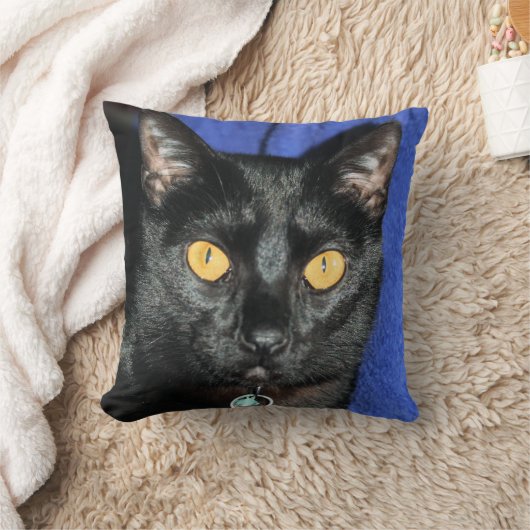 マーフィー クッション (ブランケット)