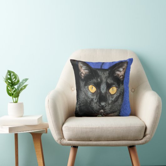 マーフィー クッション (椅子)