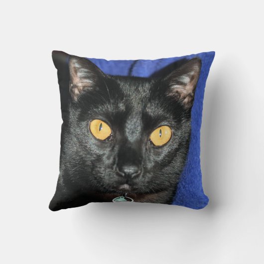 マーフィー クッション (裏面)