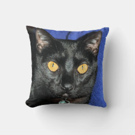 マーフィー クッション