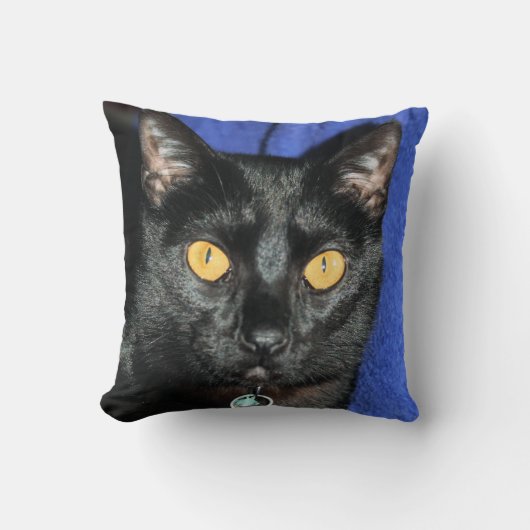 マーフィー クッション (正面)