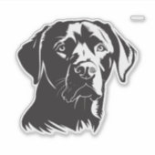 マーフィー シール (正面)