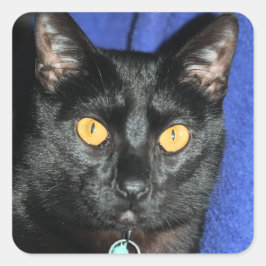 マーフィー スクエアシール