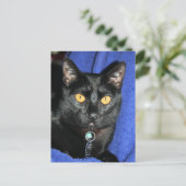 マーフィー ポストカード (スタンド正面)