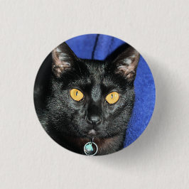 マーフィー 缶バッジ