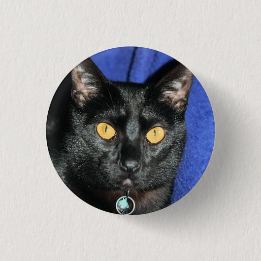 マーフィー 缶バッジ (正面)