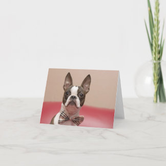 マーフォーマルサ カード