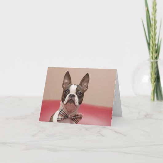 マーフォーマルサ カード (正面)