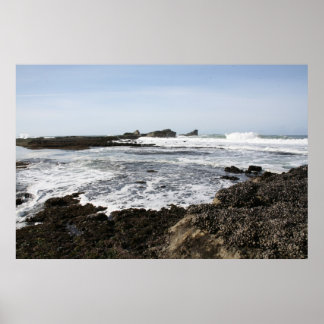 マーベリックス ポスター