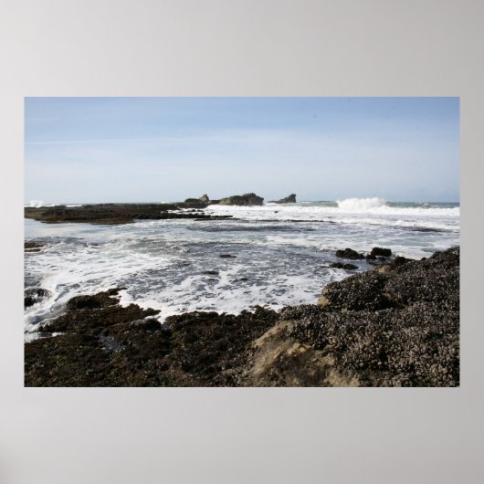 マーベリックス ポスター (正面)