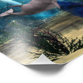 マーメイドとイルカ フォトプリント            (角)