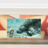 マーメイドと彼女の友人ラベルのダニ ラベル (貼付)