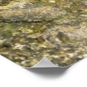 マーメイドのダンニのポスター ポスター (角)