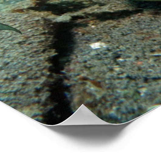 マーメイドのダンニのポスター ポスター (角)