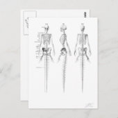マーメイド骨格はがき ポストカード (正面/裏面)