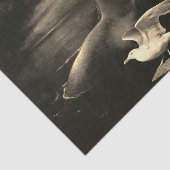 マーメイド&シーガルギフトティッシュペーパー 薄葉紙 (詳細)