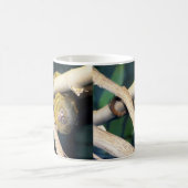 マーモセットモンキーこんにちは、コーヒーマグ コーヒーマグカップ (中央)