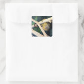 マーモセットモンキーこんにちは、ステッカー スクエアシール (バッグ)