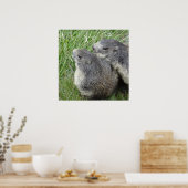 マーモッツのポスター ポスター (キッチン)