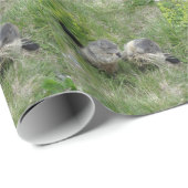 マーモッツ包装紙 ラッピングペーパー (ロールコーナー)