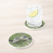 マーモッツ海岸 コースター (側面)