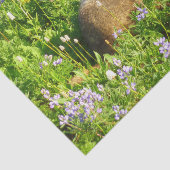マーモットとマウントレーニアの野の花 薄葉紙 (詳細)