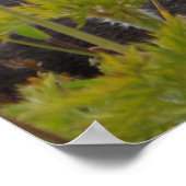 マーモットインパラダイス ポスター (角)