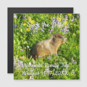 マーモットイン山レイニアワイルドフラワー (正面/裏面)