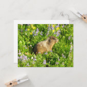 マーモットイン山レイニアワイルドフラワー カード (正面/裏面インサイチュ)