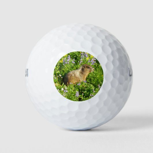 マーモットイン山レイニアワイルドフラワー ゴルフボール (正面)
