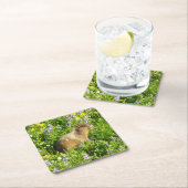 マーモットイン山レイニアワイルドフラワー スクエアペーパーコースター (インサイチュ)