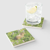 マーモットイン山レイニアワイルドフラワー ストーンコースター (横)