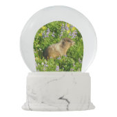 マーモットイン山レイニアワイルドフラワー スノーグローブ (裏面)