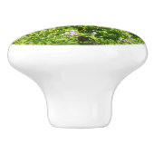 マーモットイン山レイニアワイルドフラワー セラミックノブ (側面)