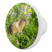 マーモットイン山レイニアワイルドフラワー セラミックノブ (右)