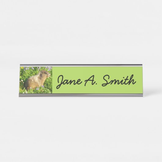 マーモットイン山レイニアワイルドフラワー デスクネームプレート (正面)