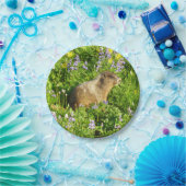 マーモットイン山レイニアワイルドフラワー ペーパープレート (パーティー)