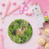 マーモットイン山レイニアワイルドフラワー ペーパープレート (パーティー)