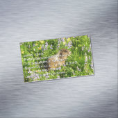 マーモットイン山レイニアワイルドフラワー マグネット名刺 (インサイチュ)