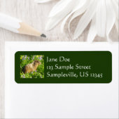 マーモットイン山レイニアワイルドフラワー ラベル (インサイチュ)